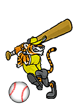 purdys central high tigers baseball